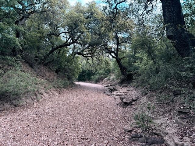 950 County Road 442 Mercury TX 76872
