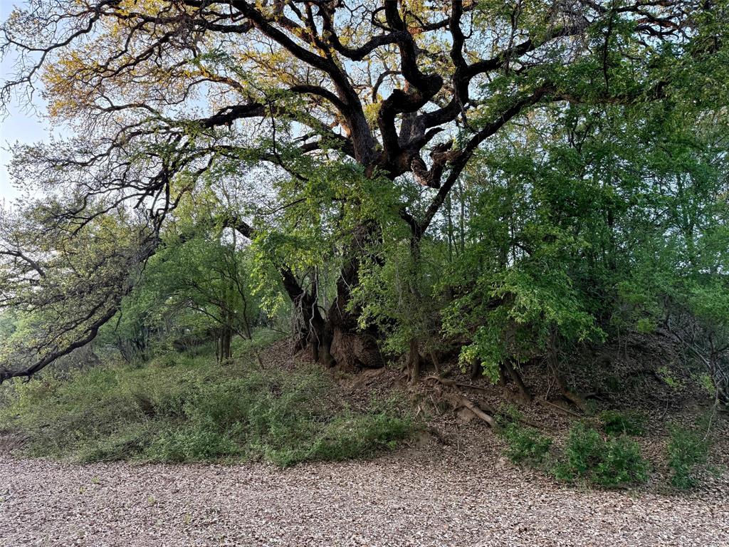 950 County Road 442 Mercury TX 76872