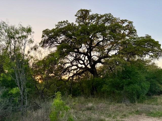 950 County Road 442 Mercury TX 76872