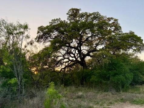 950 County Road 442 Mercury TX 76872