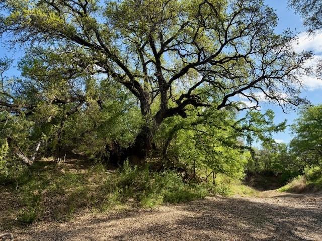 950 County Road 442 Mercury TX 76872