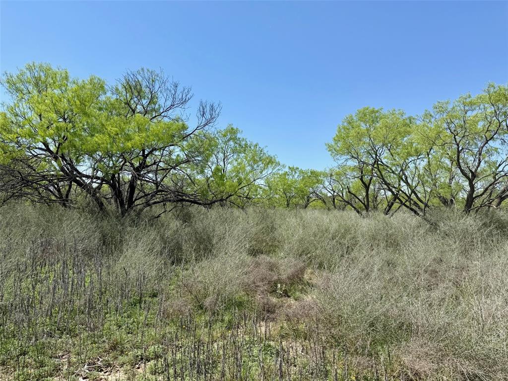 950 County Road 442 Mercury TX 76872