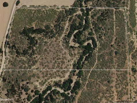 950 County Road 442 Mercury TX 76872