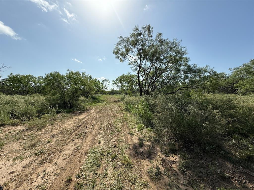 950 County Road 442 Mercury TX 76872