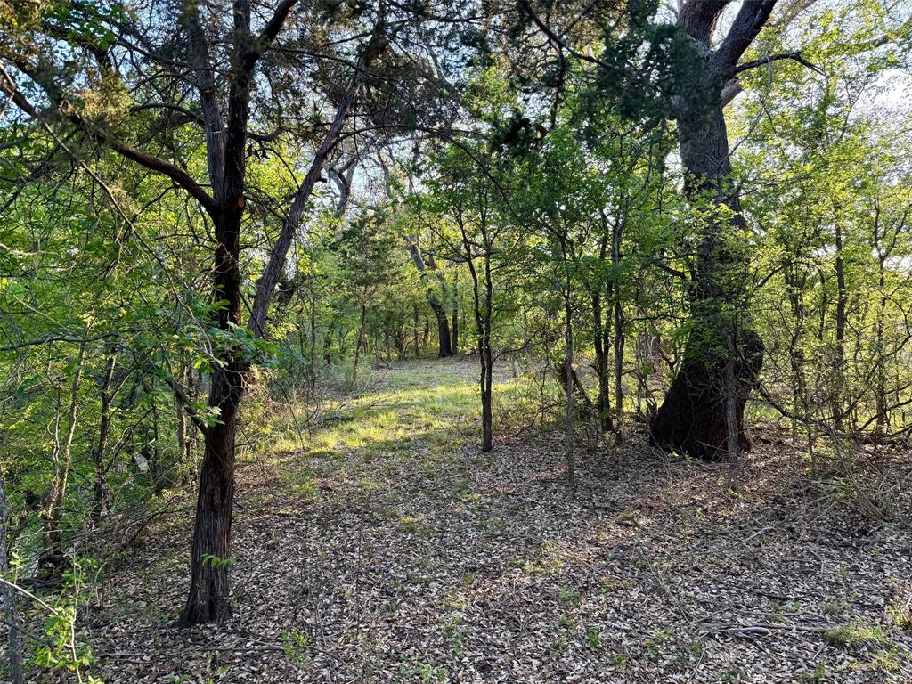 950 County Road 442 Mercury TX 76872