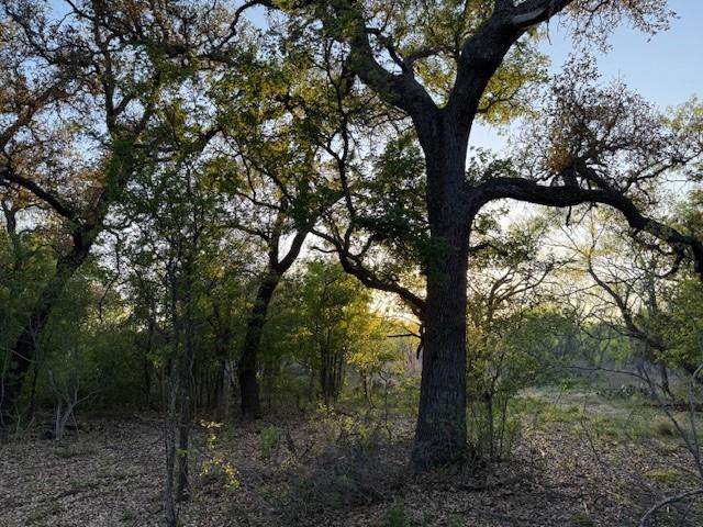 950 County Road 442 Mercury TX 76872