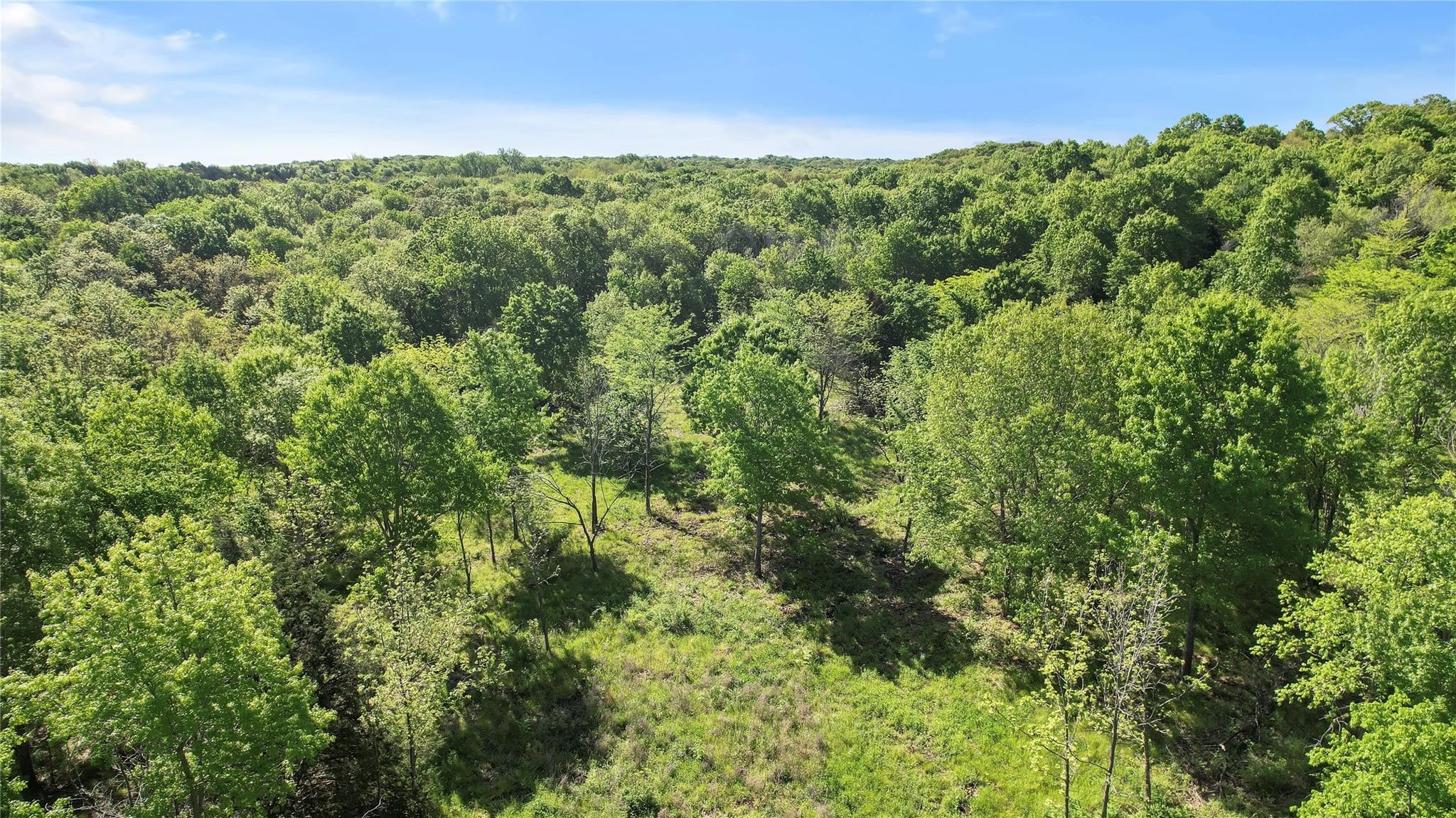 000 Highway 56 Bells TX 75414