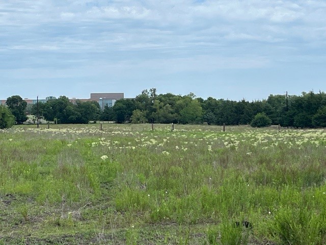 706 Prince Lane Fate TX 75087
