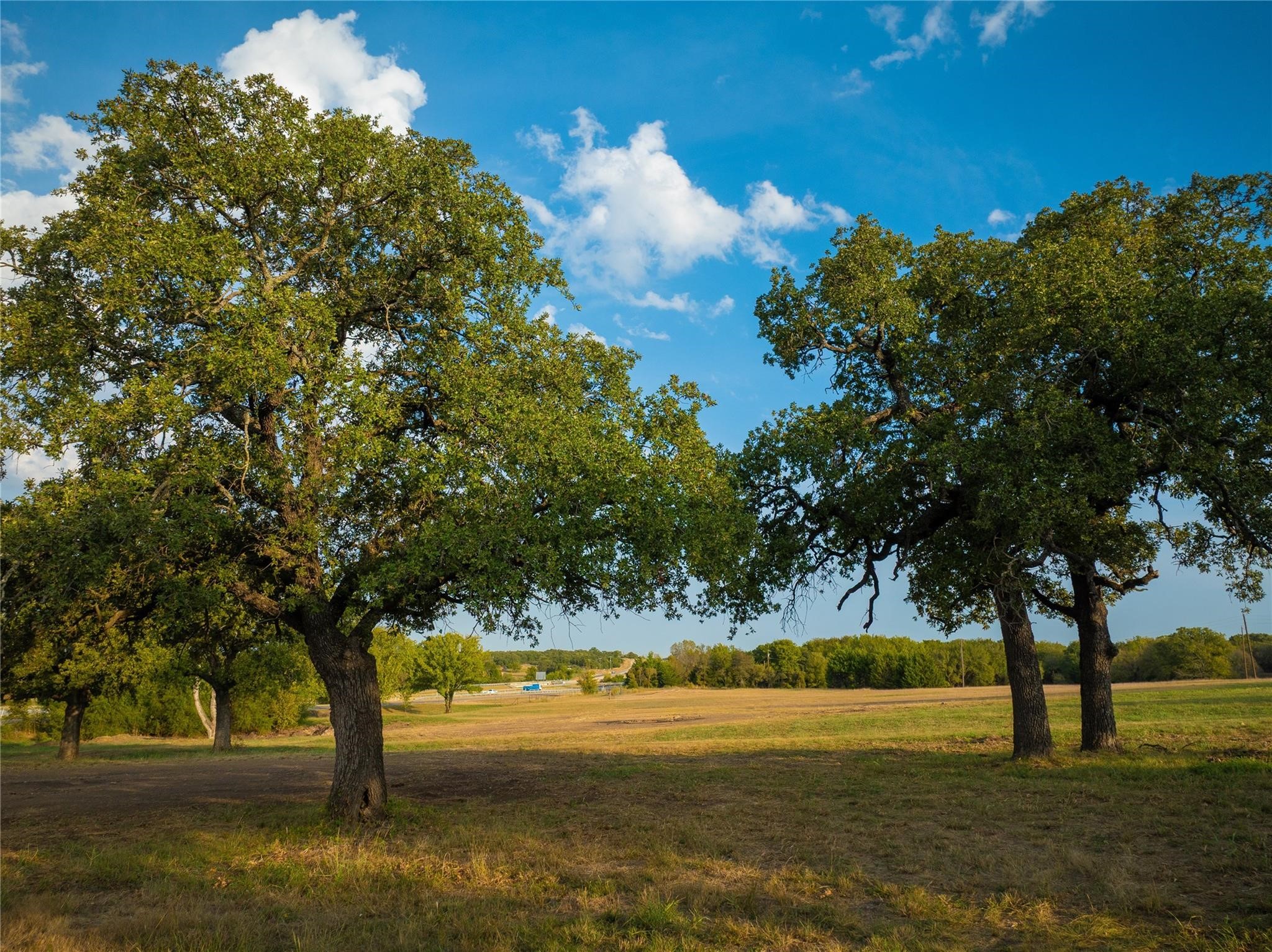 Tbd Stadium Drive Alvord TX 76225
