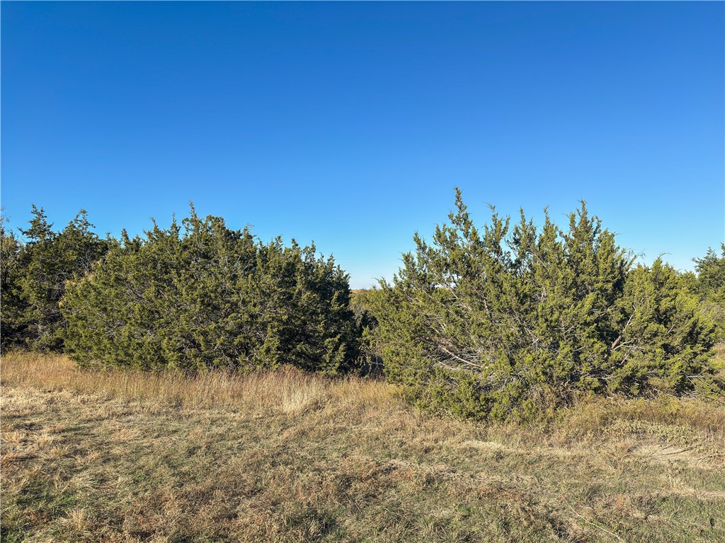 Tbd Tract 2 Talbert Ranch Road China Spring TX 76633