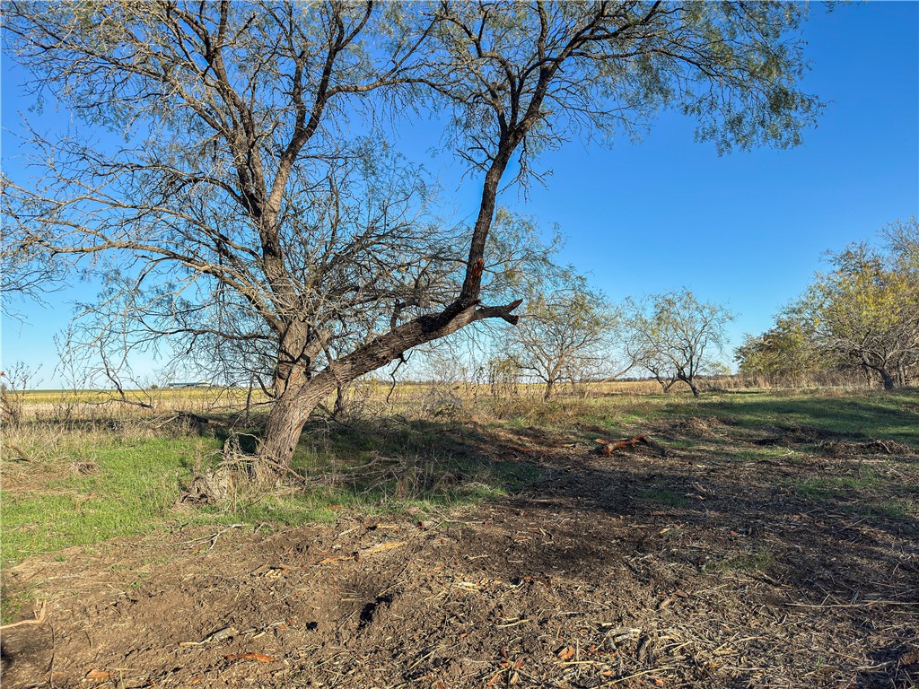 Tbd Tract 2 Talbert Ranch Road China Spring TX 76633