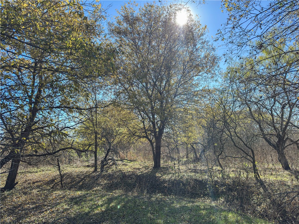 Tbd Tract 2 Talbert Ranch Road China Spring TX 76633