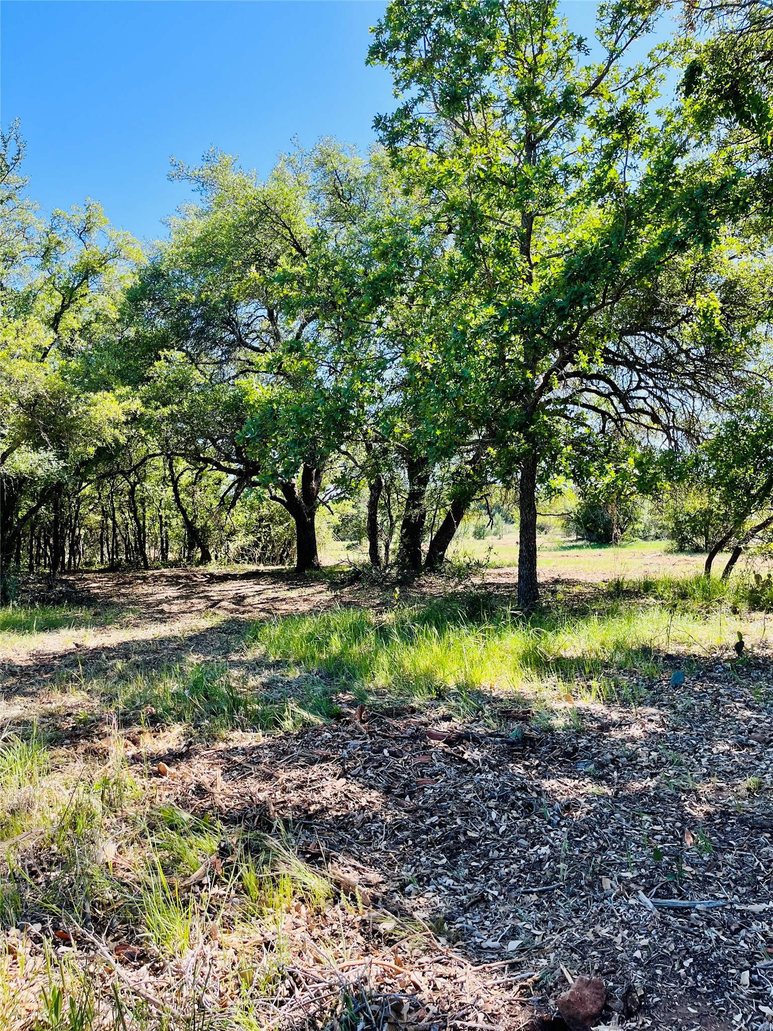 Tbd County Road 574 Brownwood TX 76801