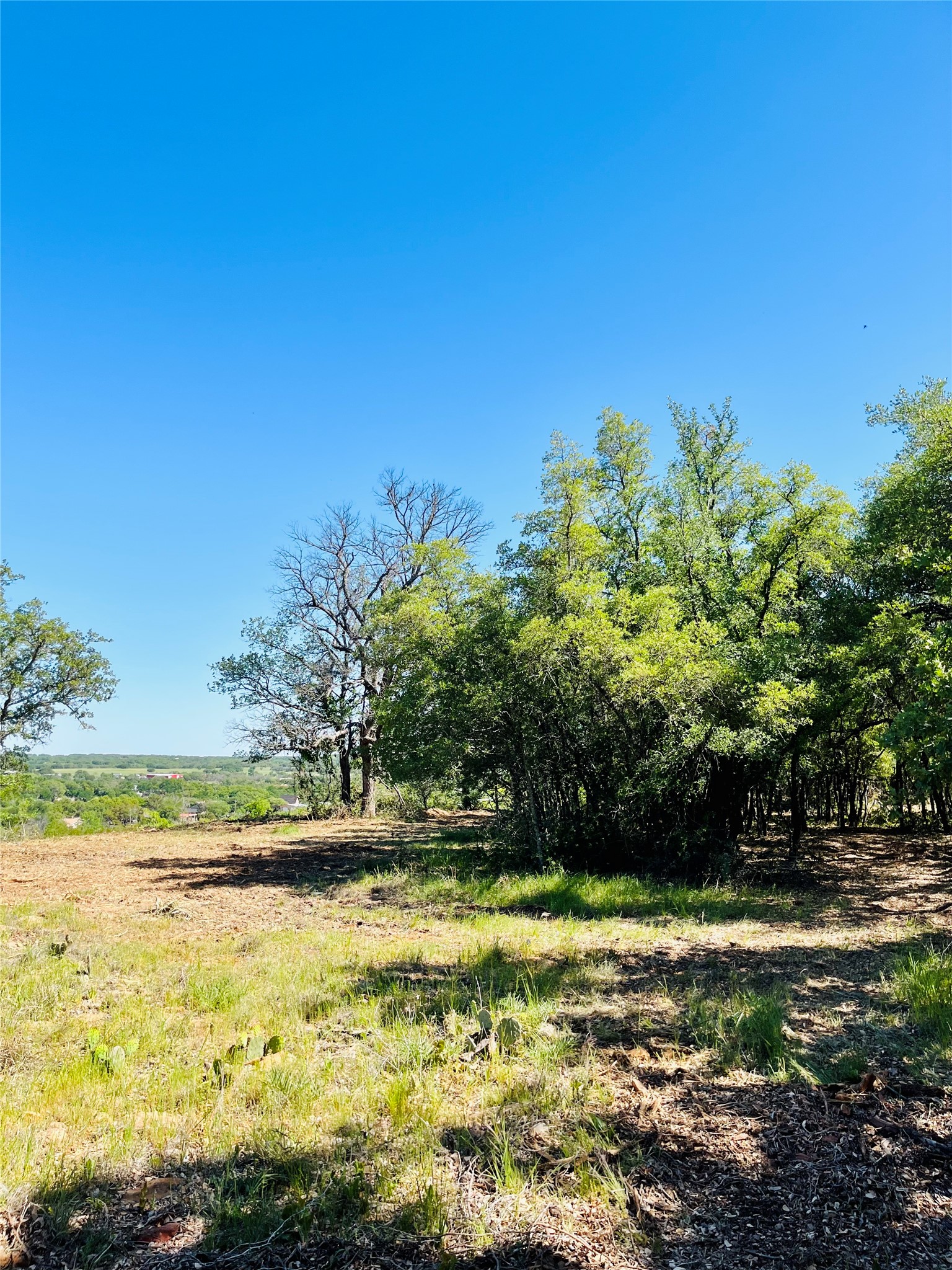 Tbd County Road 574 Brownwood TX 76801