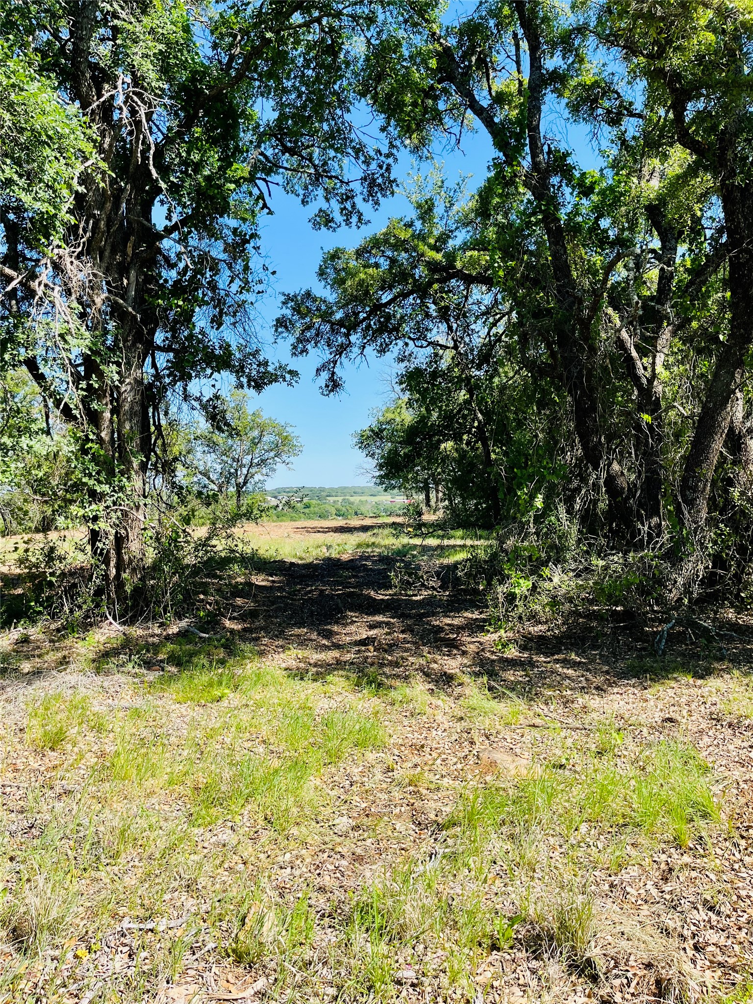 Tbd County Road 574 Brownwood TX 76801