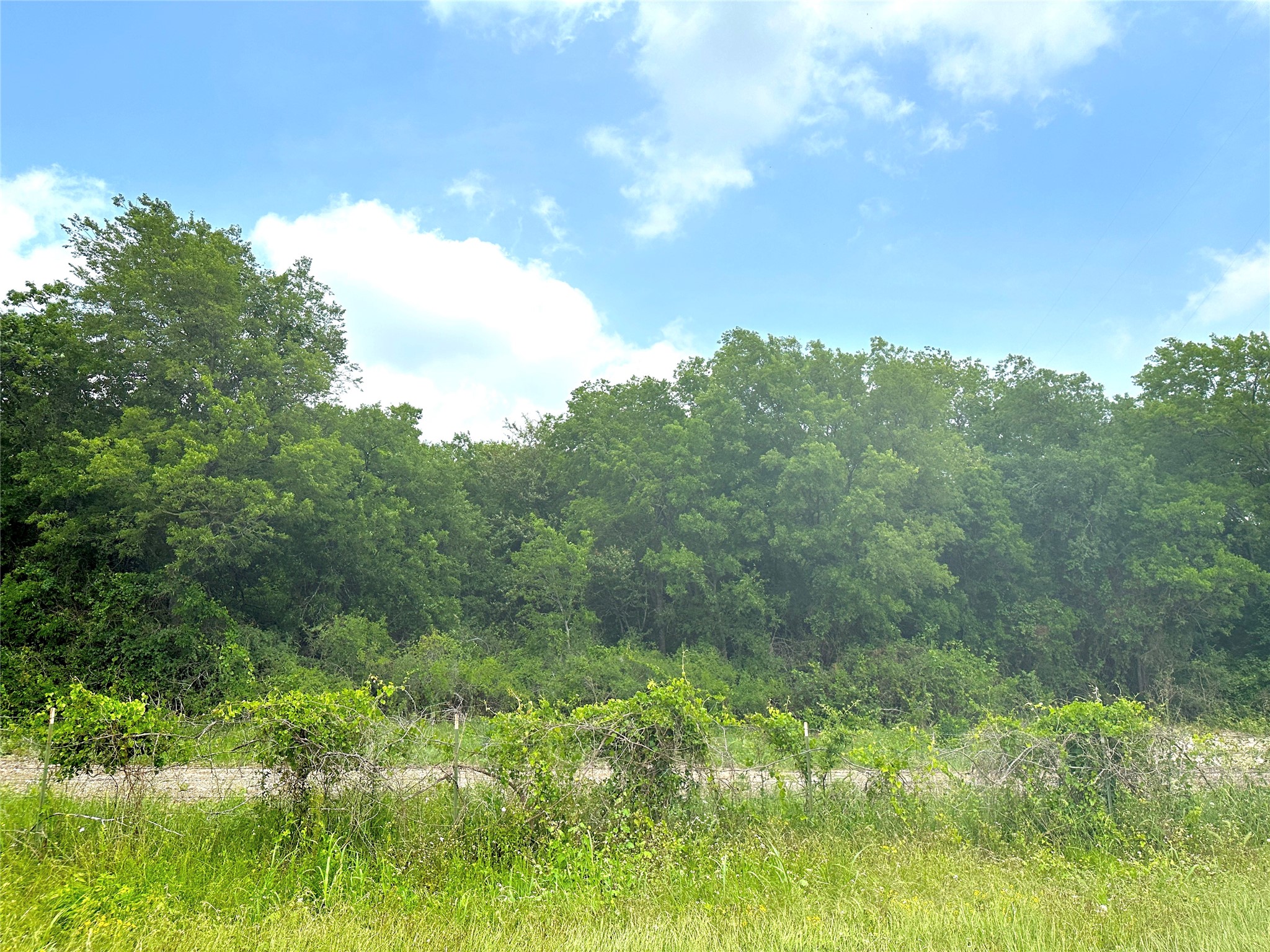 13.2 Ac. Tbd Tract 19 Winchester Drive Moody TX 76557