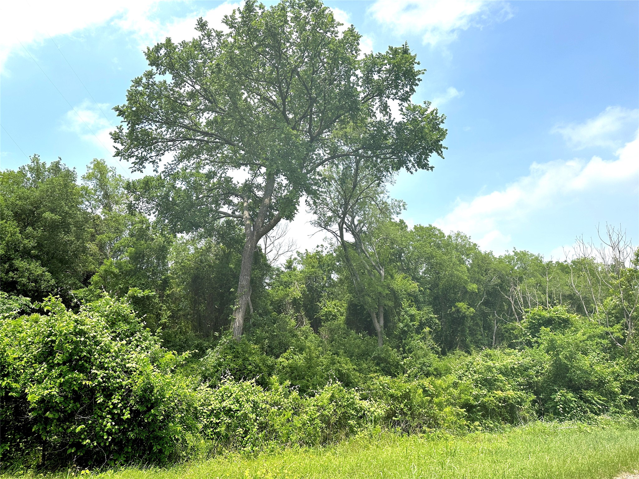 13.2 Ac. Tbd Tract 19 Winchester Drive Moody TX 76557