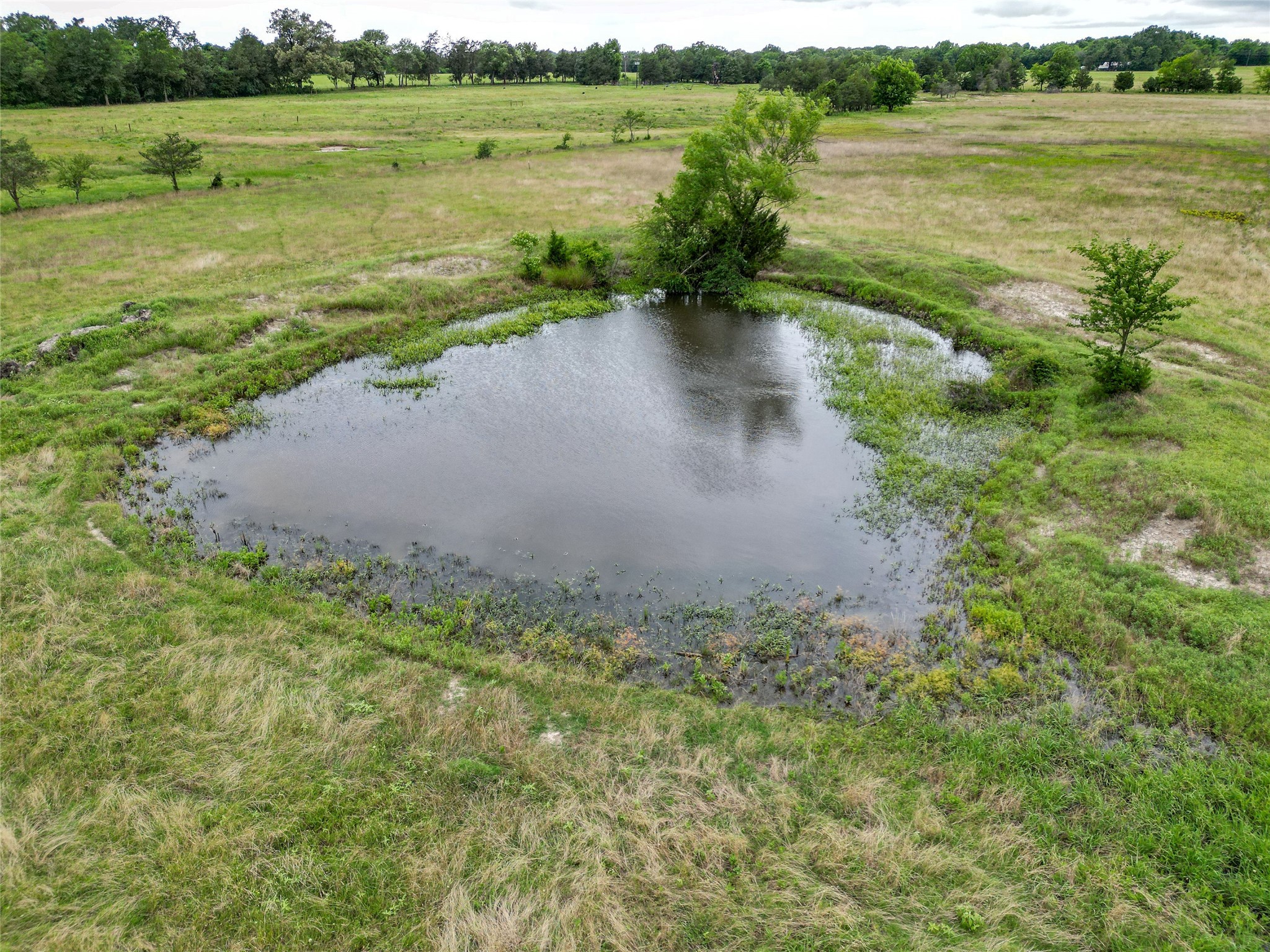 Tbd County Road 4878 Winnsboro TX 75494