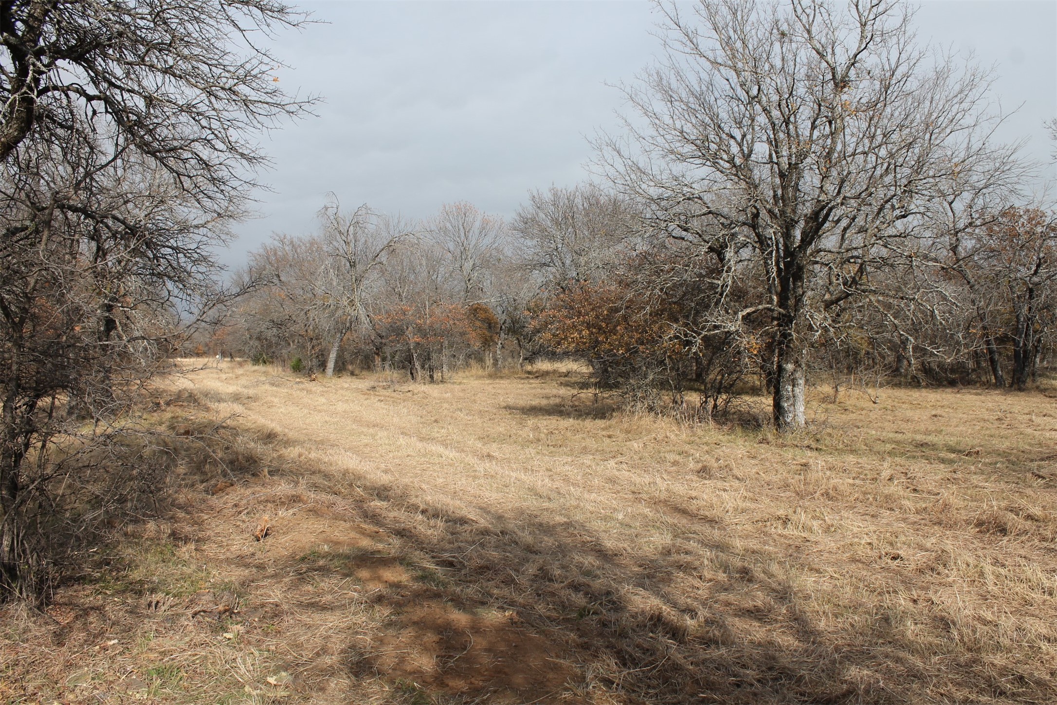 Lot 203 Ridgeline Drive Chico TX 76431