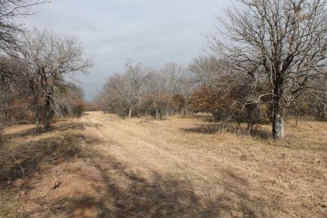 Lot 203 Ridgeline Drive Chico TX 76431