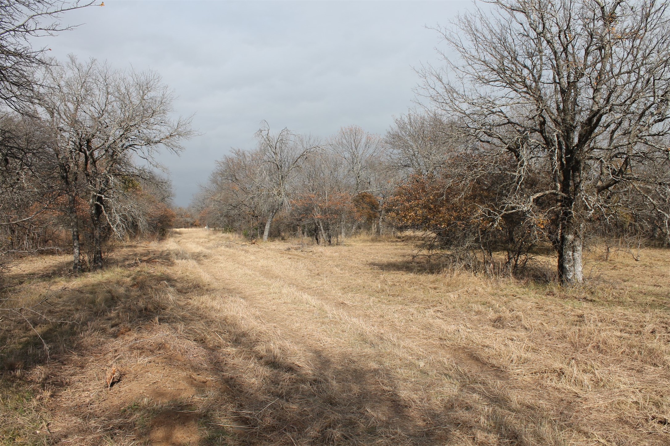 Lot 203 Ridgeline Drive Chico TX 76431
