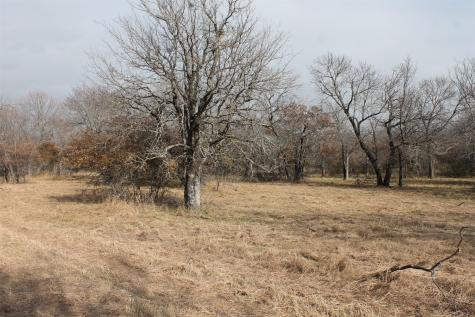 Lot 203 Ridgeline Drive Chico TX 76431