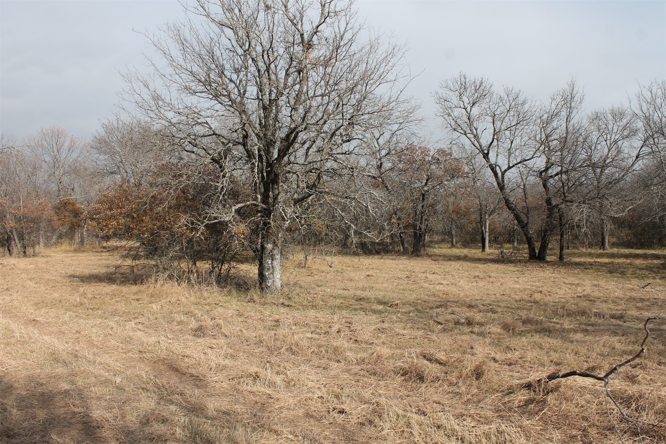Lot 203 Ridgeline Drive Chico TX 76431