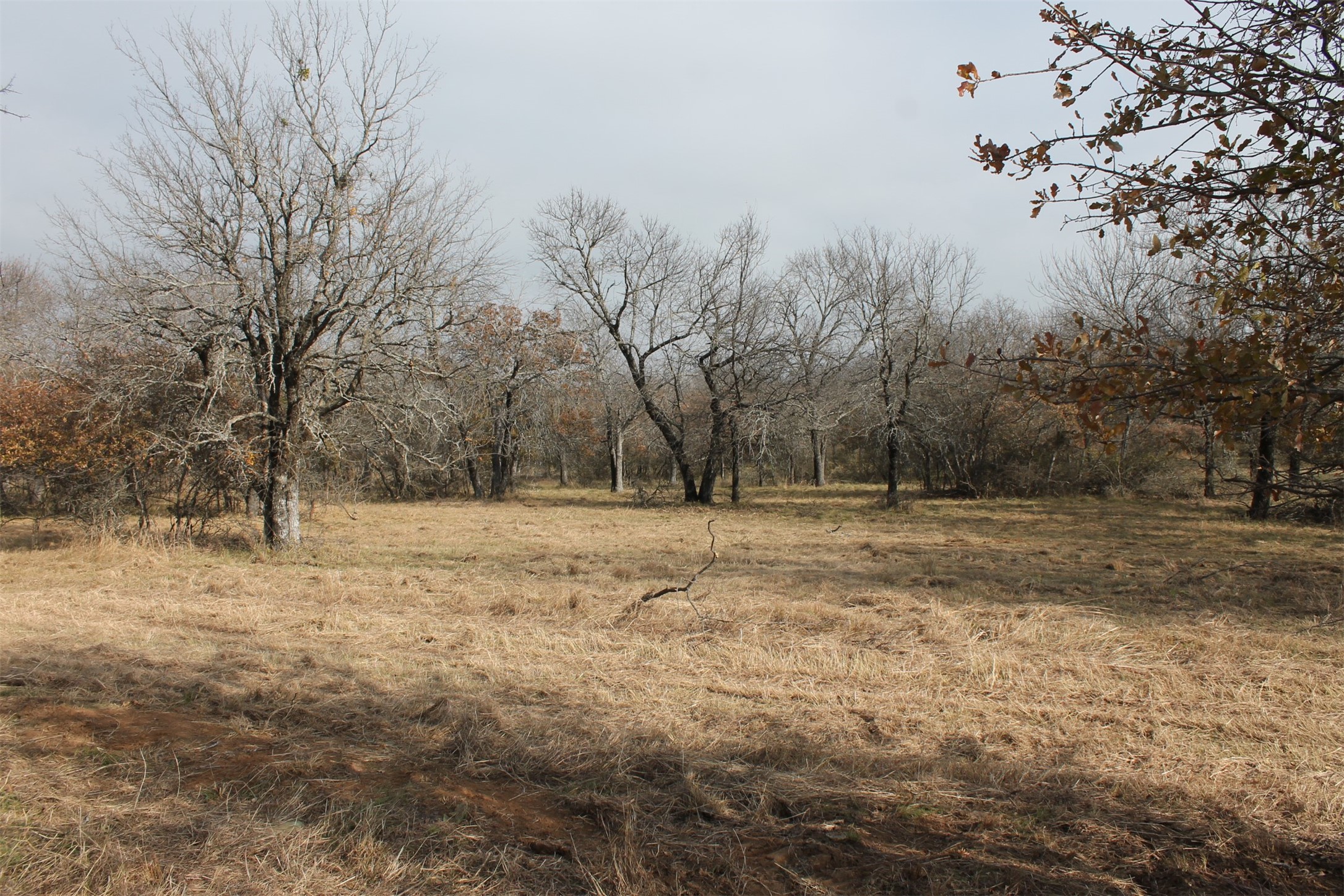 Lot 203 Ridgeline Drive Chico TX 76431