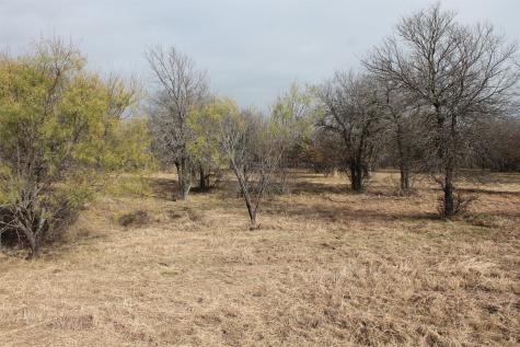 Lot 203 Ridgeline Drive Chico TX 76431