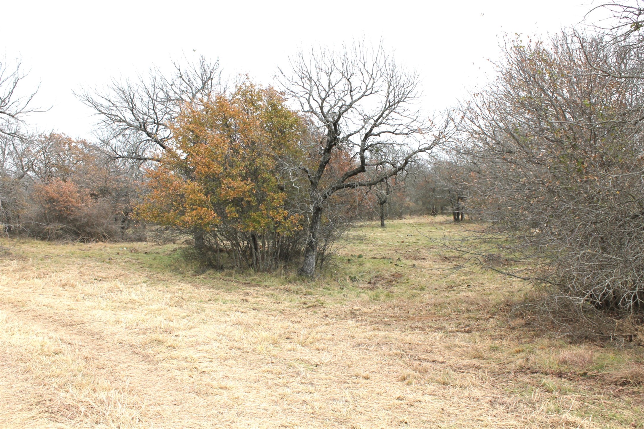 Lot 203 Ridgeline Drive Chico TX 76431