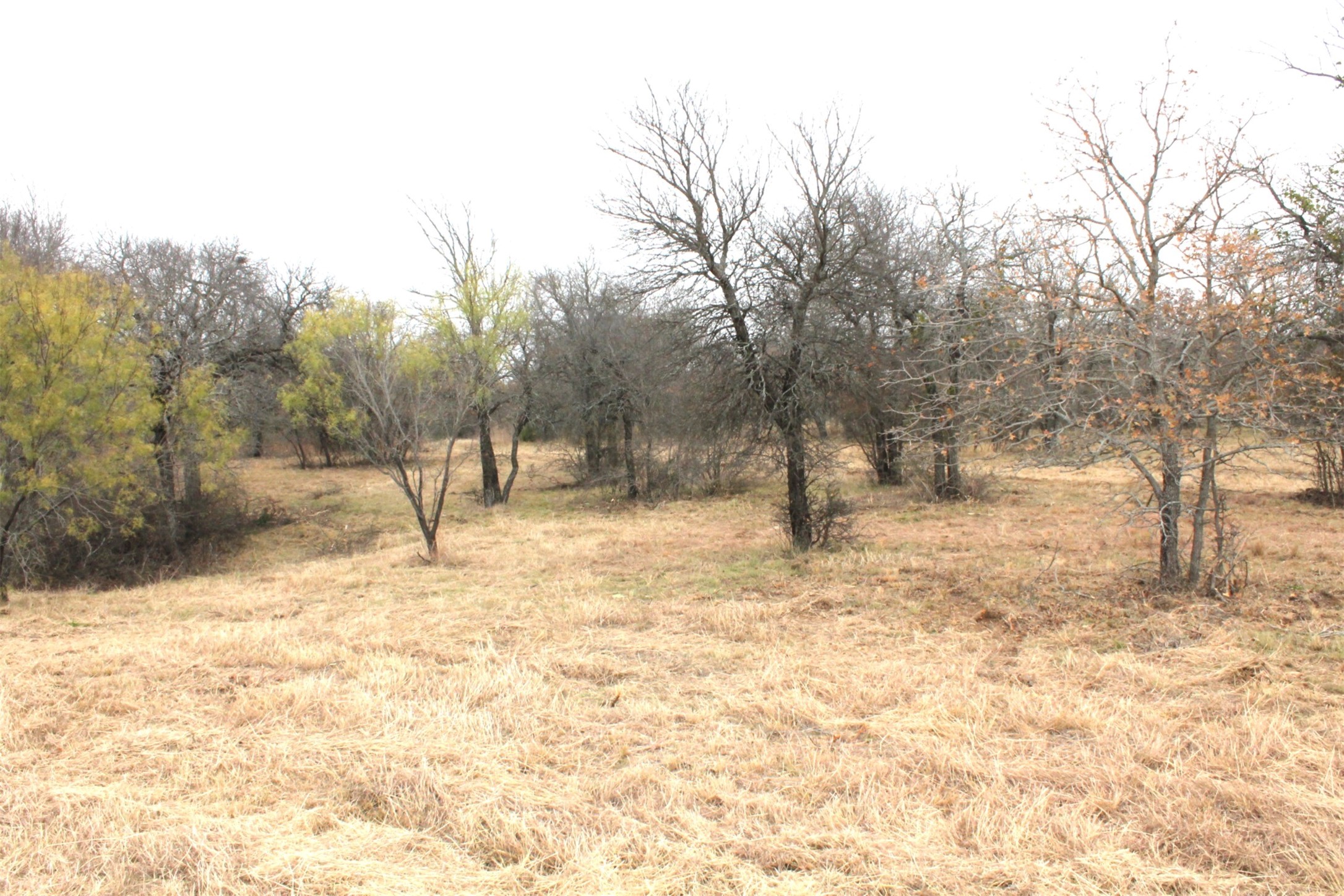 Lot 203 Ridgeline Drive Chico TX 76431
