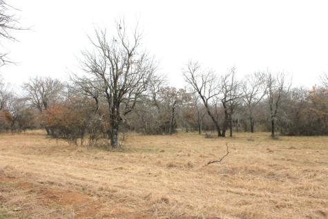 Lot 203 Ridgeline Drive Chico TX 76431
