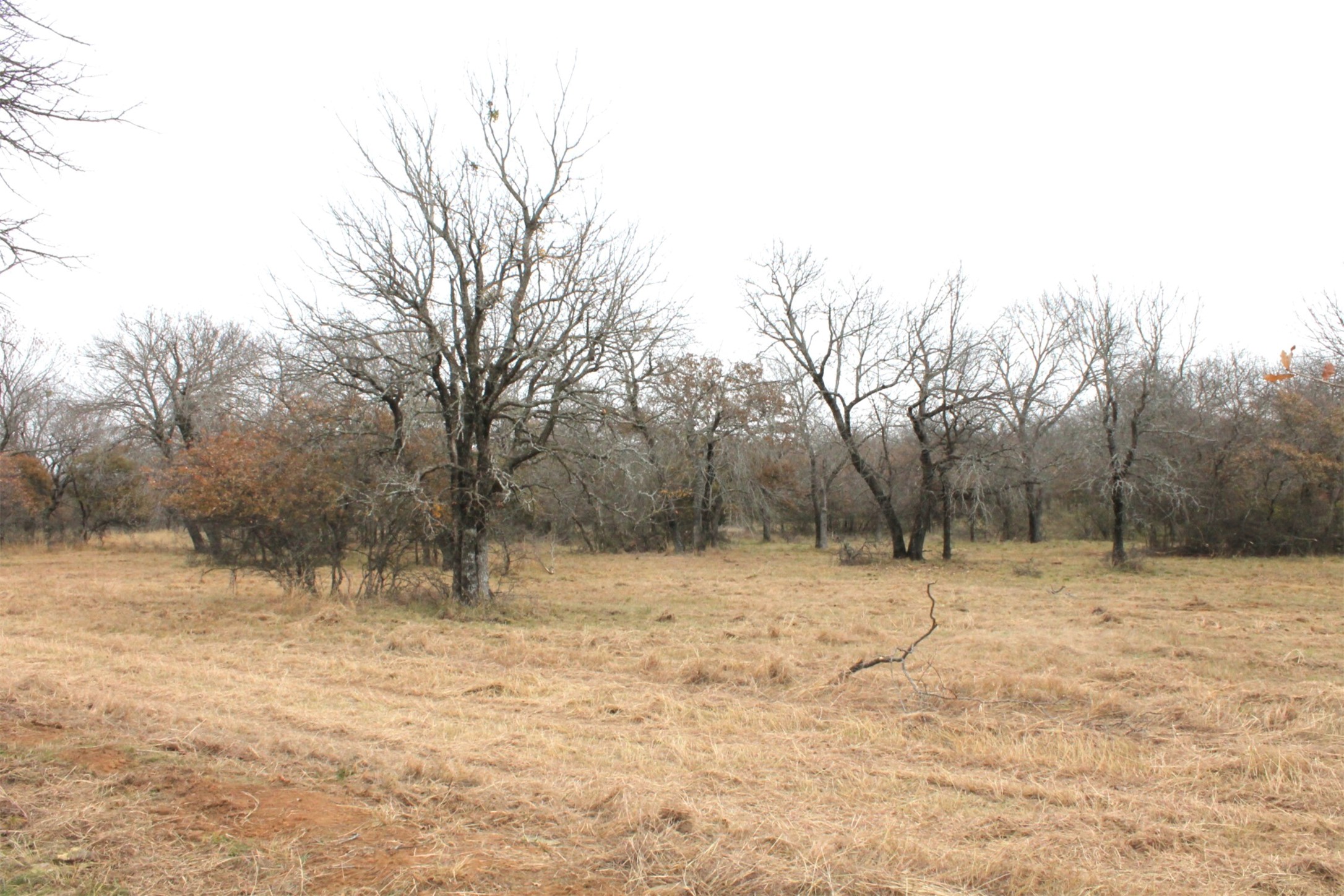 Lot 203 Ridgeline Drive Chico TX 76431