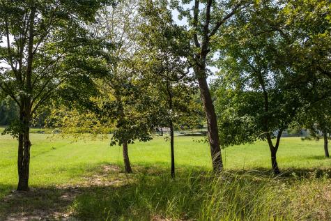 3570 Pleasant Run Circle Athens TX 75752