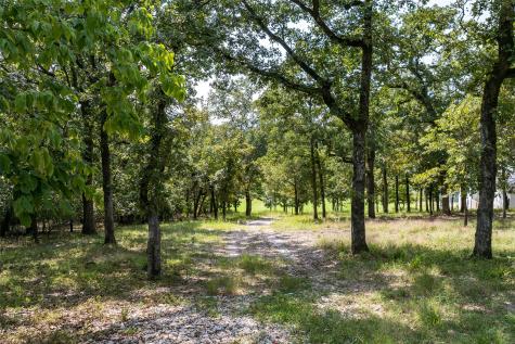 3570 Pleasant Run Circle Athens TX 75752