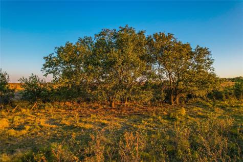 515 County Road 262 Gatesville TX 76528