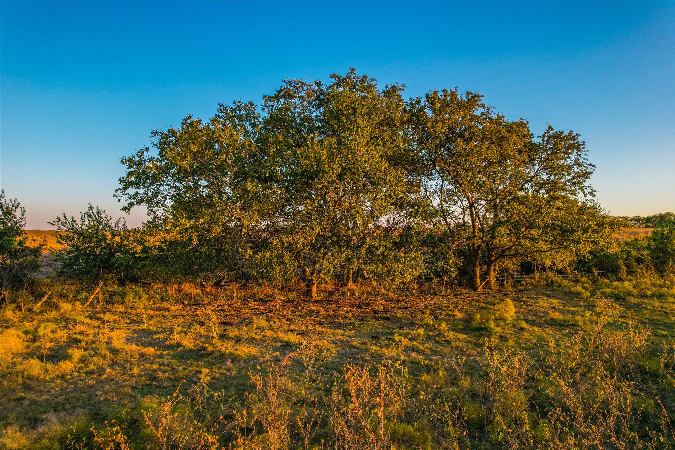 515 County Road 262 Gatesville TX 76528