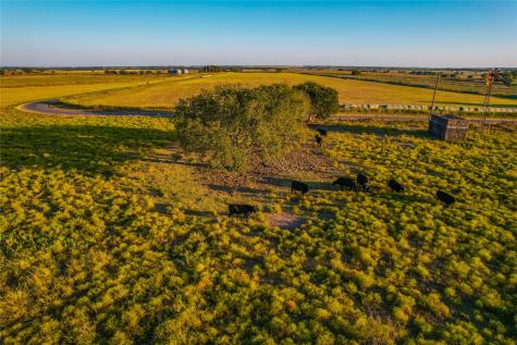 515 County Road 262 Gatesville TX 76528