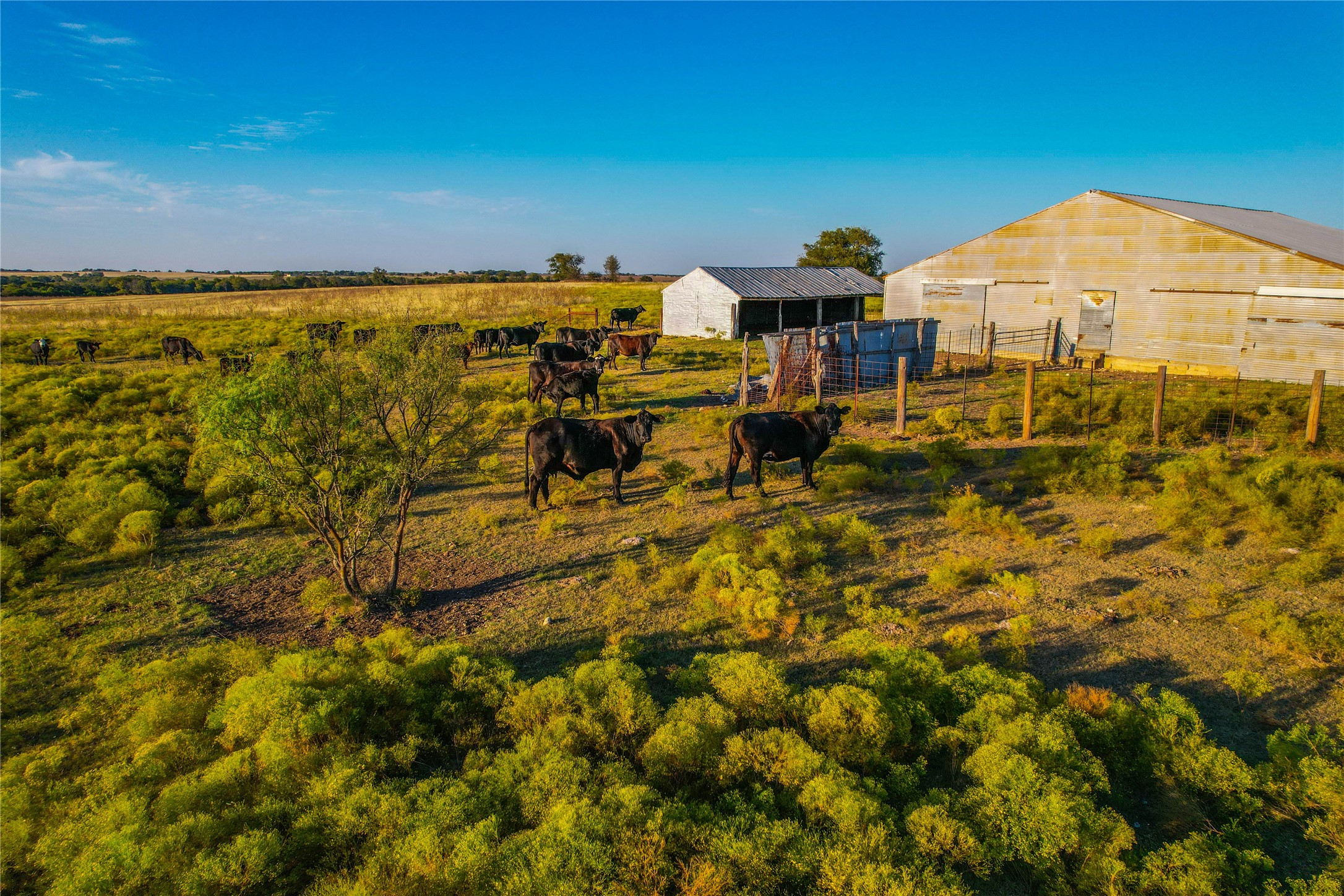 515 County Road 262 Gatesville TX 76528