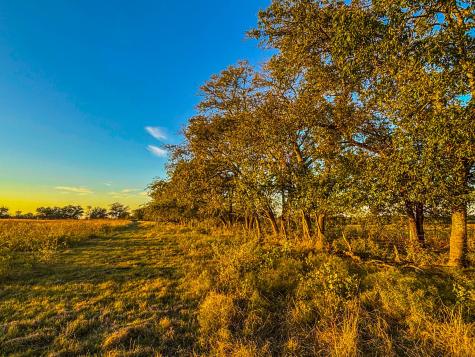 515 County Road 262 Gatesville TX 76528