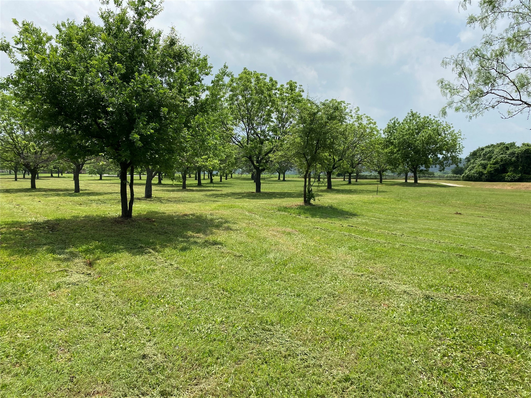 11026 Orchards Boulevard Cleburne TX 76033