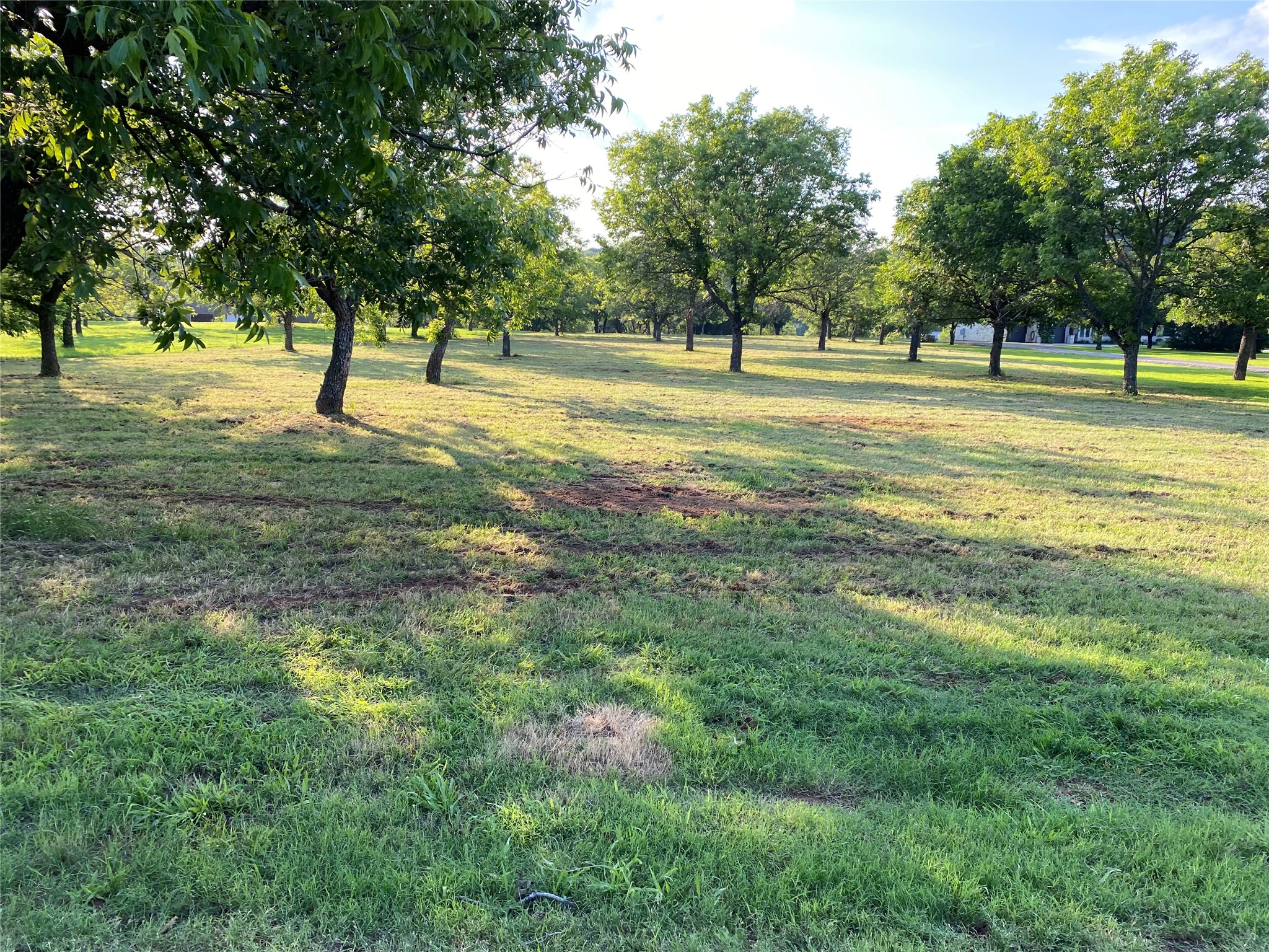 11026 Orchards Boulevard Cleburne TX 76033