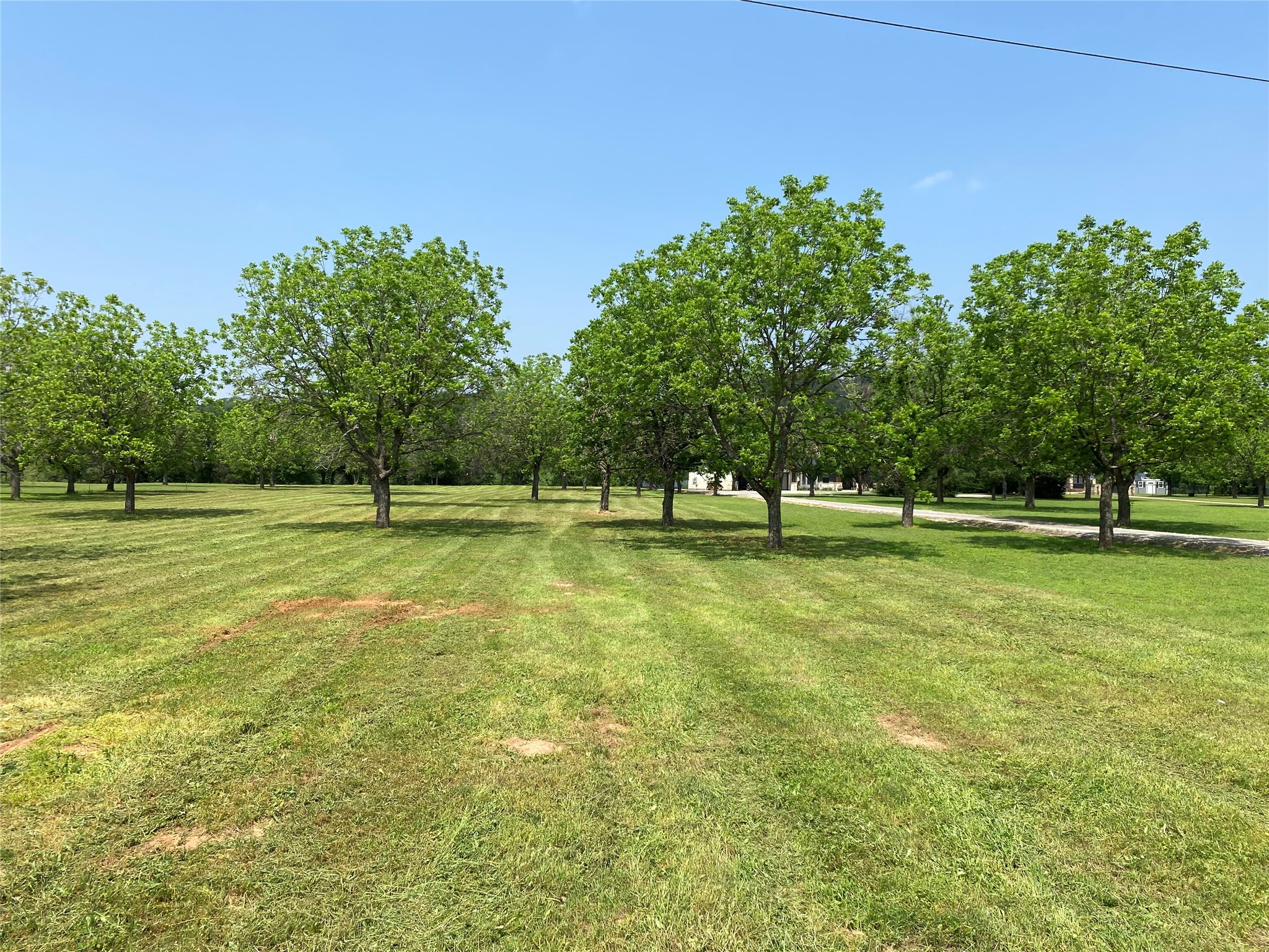 11026 Orchards Boulevard Cleburne TX 76033
