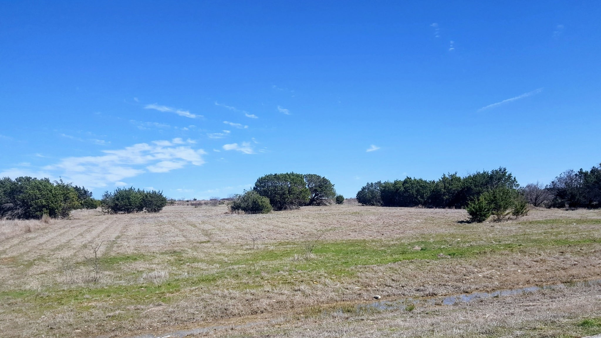 1016 Enchanted Rock Court Graford TX 76449