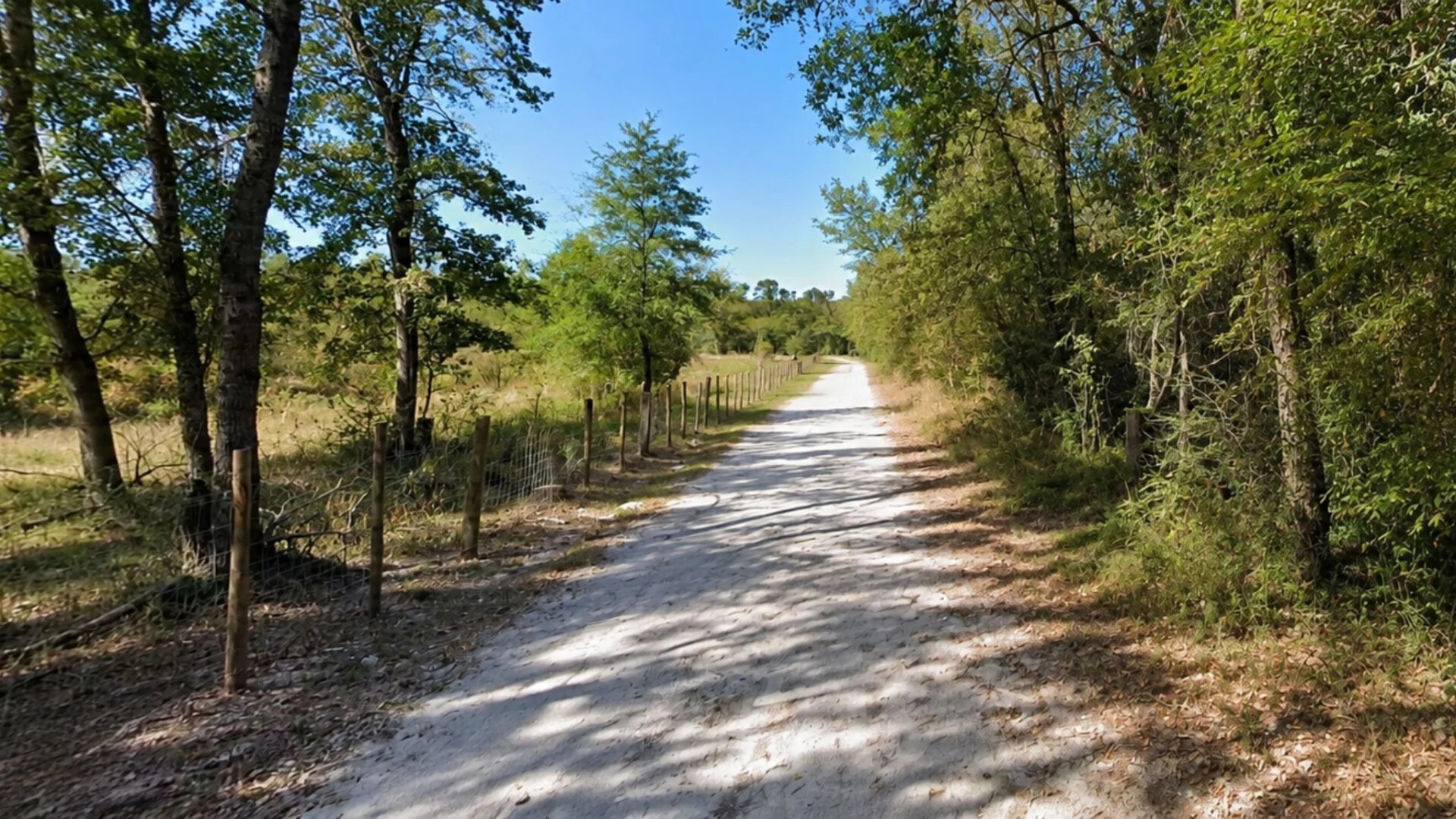 Lot 7 Dryden Street Trinity TX 75862