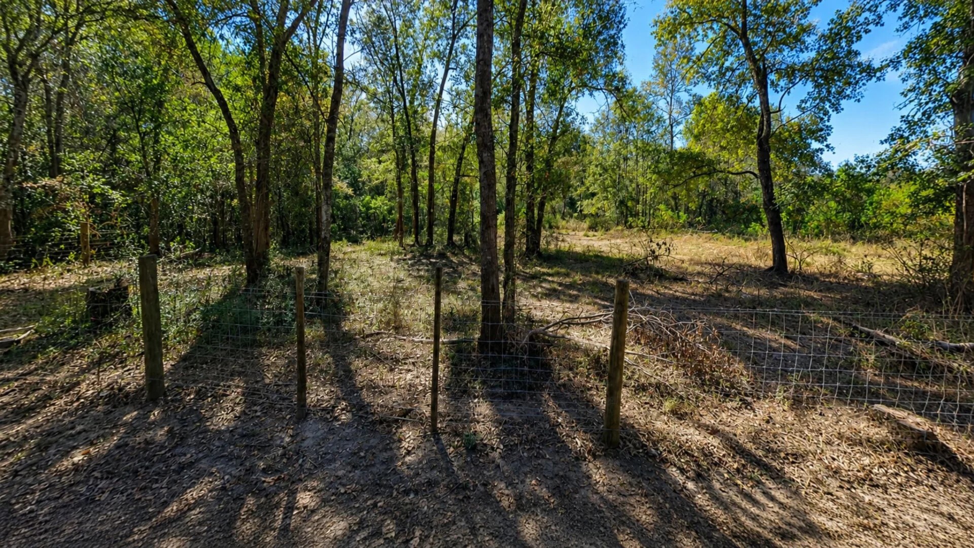 Lot 7 Dryden Street Trinity TX 75862