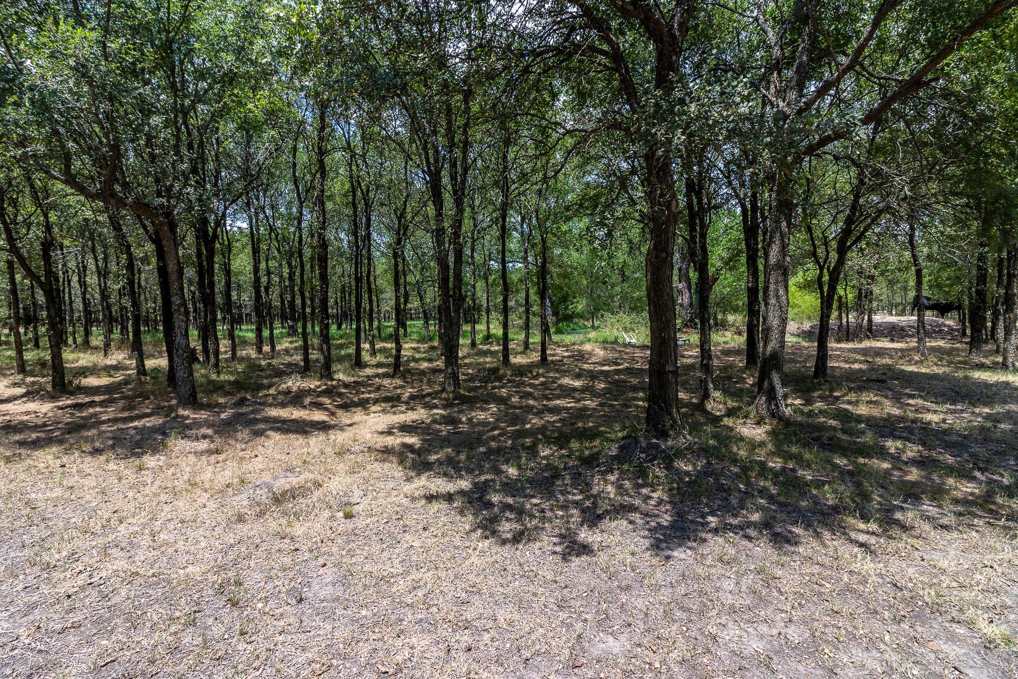 0 Cr-4076 Scurry TX 75158