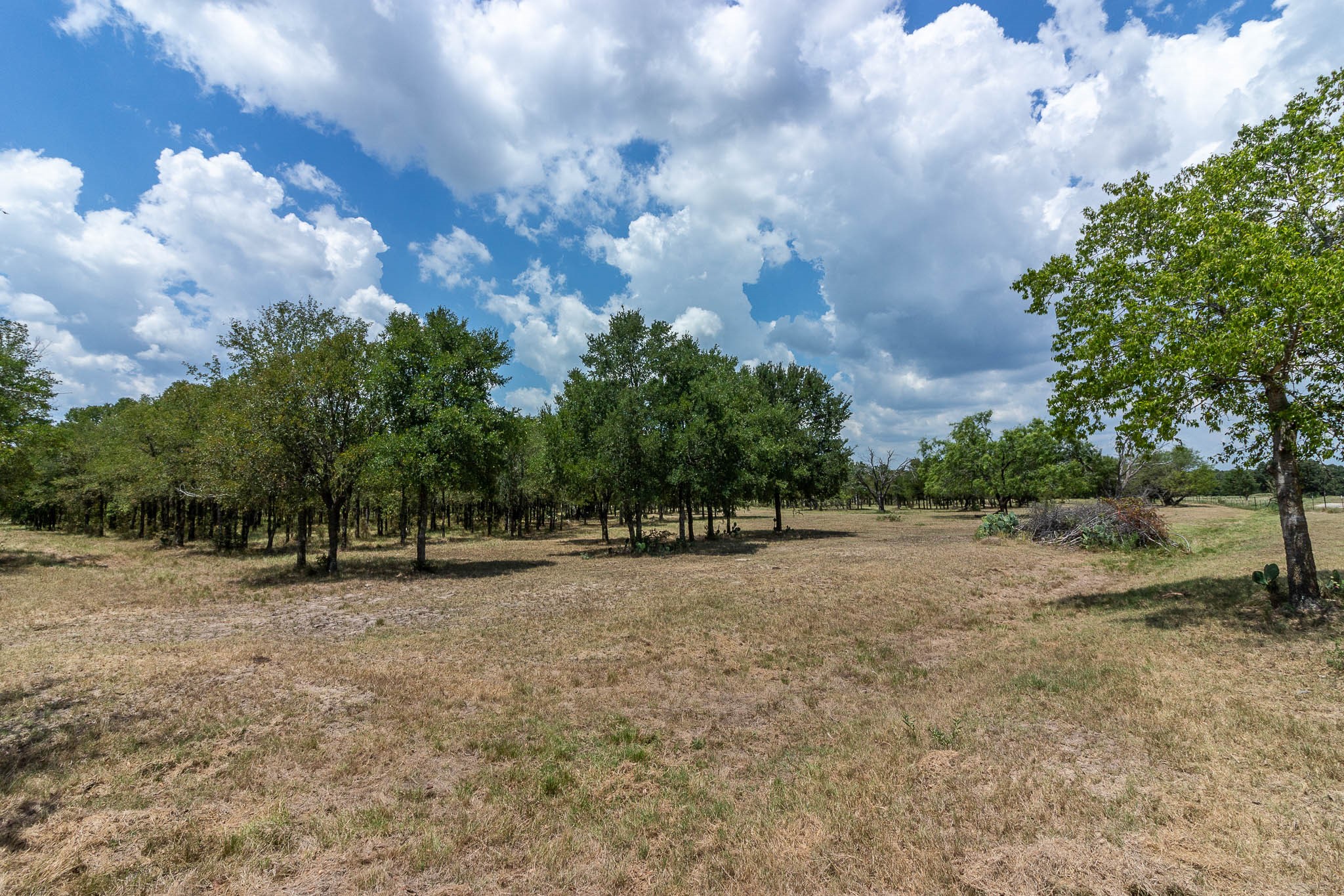 0 Cr-4076 Scurry TX 75158