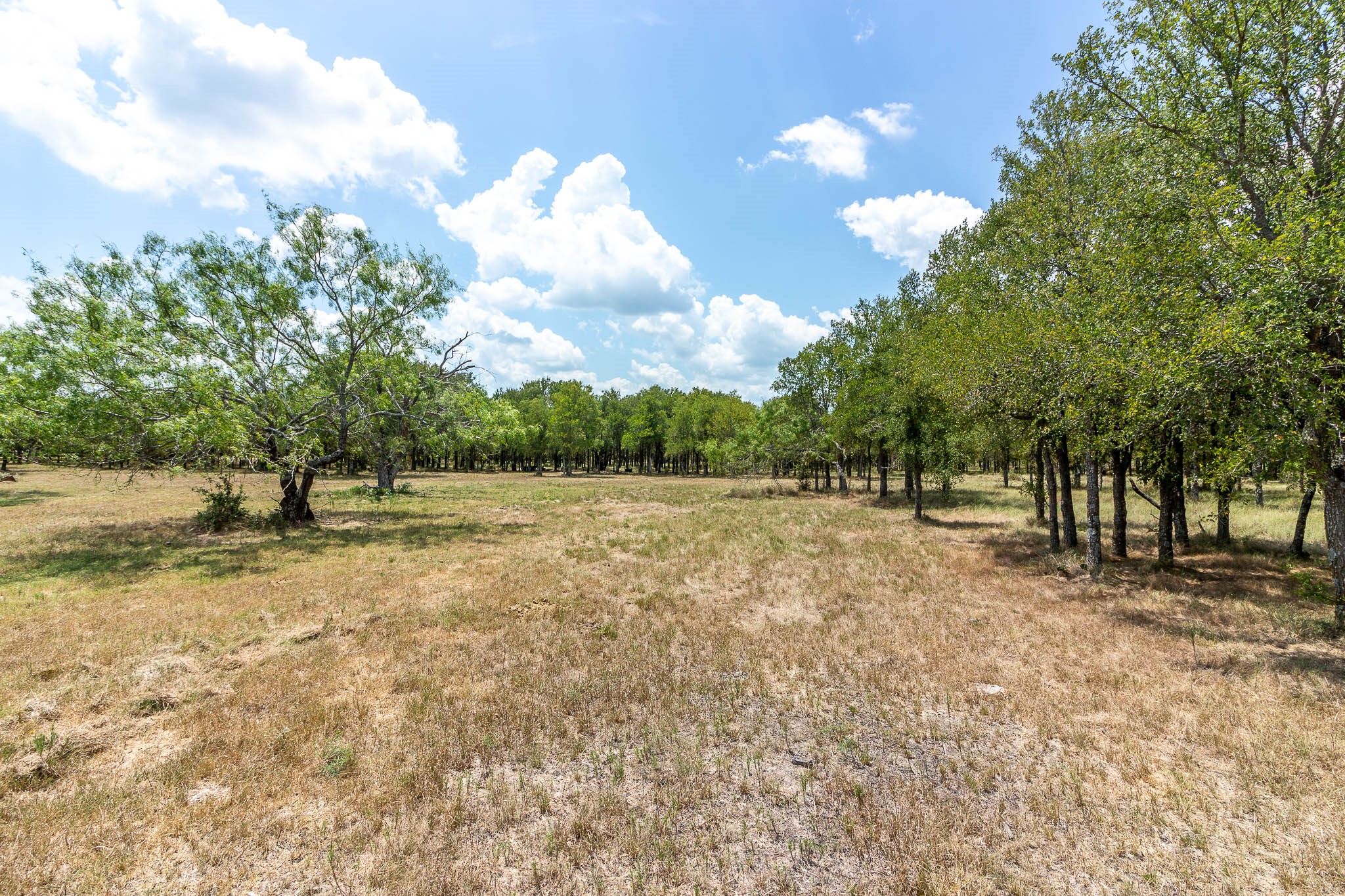 0 Cr-4076 Scurry TX 75158