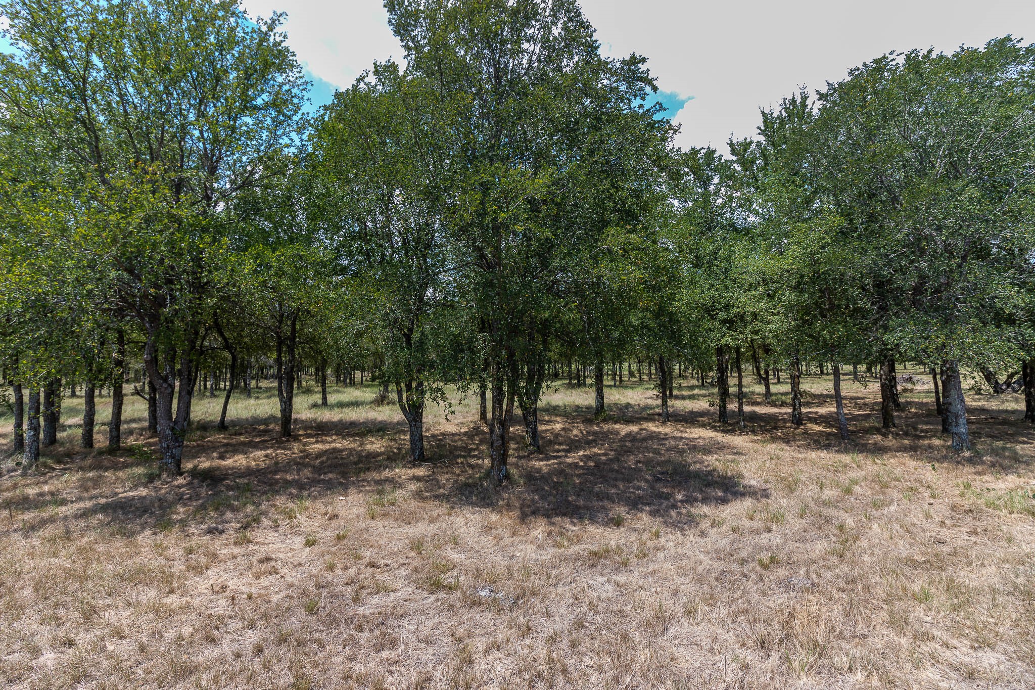 0 Cr-4076 Scurry TX 75158